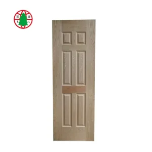Door Skin