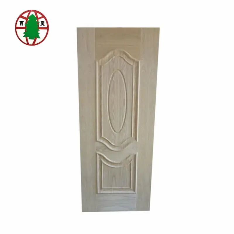 Door Skin